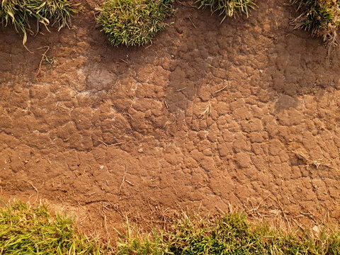 Top View Of The Soil Path On Sunny Day. Background With Dry Cracked Ground Surface And Grass On The Top And The Bottom. Texture. Backgrounds. Graphics Resources.