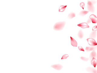 Pink sakura flower flying petals isolated on white vector background.