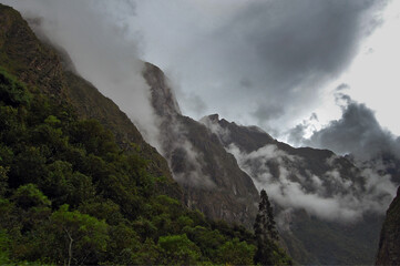 Cloud-covered mountains in rainforest