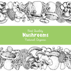 Edible mushrooms hand drawn. Horizontal Seamless pattern. Vector illustrations collection. Hand drawn food. Vintage mushrooms sketch. Organic food. Forest mushrooms. Vintage mushrooms background.