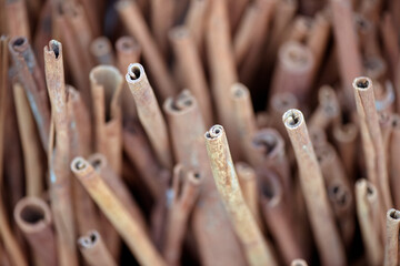Closeup of cinnamon sticks at outdoor market stall