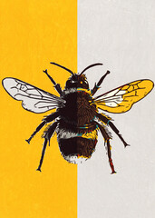 Cartoon Bee Illustration
