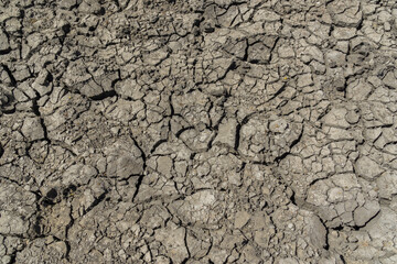Cracked desert ground, Chad