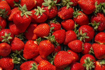 Fresh ripe perfect strawberry - Food Frame Background. Fresh strawberry as texture background. Natural food backdrop with red berries. Strawberries sale in a food market in summer.