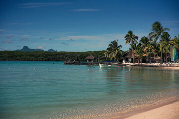 Tropical beach with palm trees