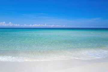 Fototapeta na wymiar Sea panorama. Tropical ocean and beach. Blue water.