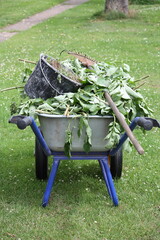 Schubkarre mit Gartenabfall, Eimer und Rechen bei Sonnenschein im Garten in Lippetal Büninghausen