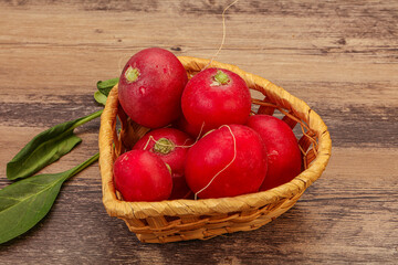 Ripe fresh radish heap over wooden