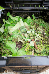 Top view inside of compost container bin outdoors.