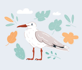 Vector illustration of white bird seagull isolated on white