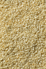 Raw Organic Dry White Sesame Seeds