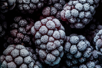 Organic frozen blackberries in a bowl, above vantage point photography, close up