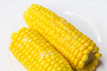 Boiled corn with butter and salt on a white plate.