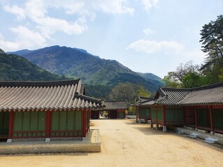 Small Korean buildings with a forested mountain in the distance