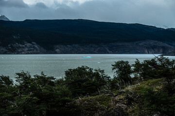 A unique and unusually blue iceberg is seen floating, alone, in the middle of a large glacial lake. Trees appear in the foreground and mountains in the background. Torres del Paine National Park Chile