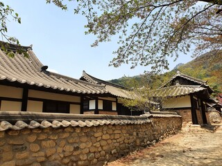 Fototapeta na wymiar Korean village building near forested mountains