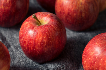 Raw Red Organic Gala Apples