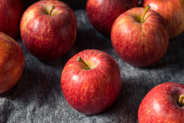 Raw Red Organic Gala Apples