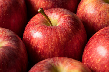 Fototapeta na wymiar Raw Red Organic Gala Apples