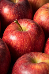 Raw Red Organic Gala Apples