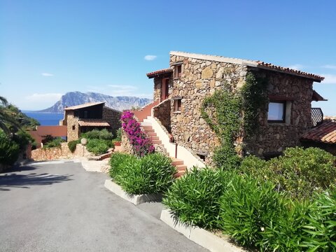 Italy sardinia ladscape capo coda cavallo bay summer 2020