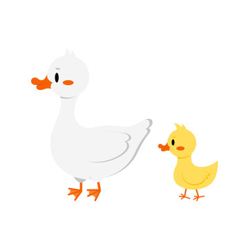 White goose with gosling icon isolated on white background. Funny domestic goose - farm poultry bird. Flat design cartoon style vector illustration.