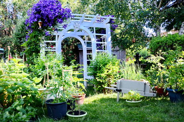 Garden tools and vegetables in an urban garden during the Coronavirus Pandemic