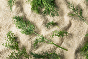 Raw Green Organic Dill Herb