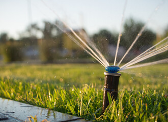 Automatic sprinkler system watering the lawn. Close-up - obrazy, fototapety, plakaty