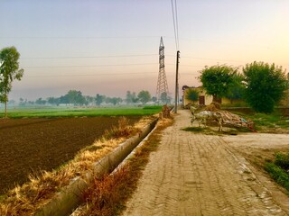 Obraz premium rural road in the countryside