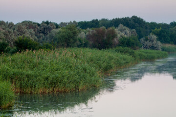 Morning on the river early