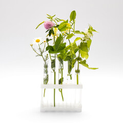 Wild field herbs in bottles of different shapes on a white-gray background as a decoration. Card