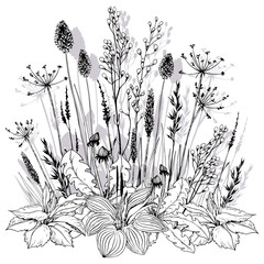 Summer floral concept with wild meadow herbs and flowers. © JeannaDraw