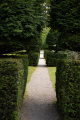 Walkway through English country garden pathway sand