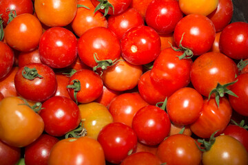 Red cherry tomatoes background. Fresh bright organic vegetables. A lot of Small Cherry tomatoes.