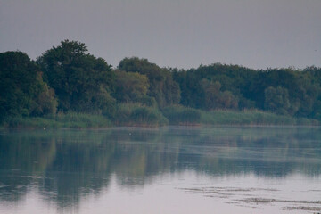 Morning on the river early morning reeds mist fog and water surface on the river