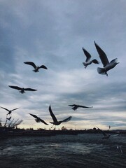 Processed with VSCO with 4 preset