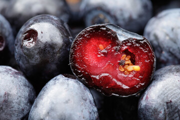 Makroaufnahme einer duchgeschnittenen Heidelbeere (Vaccinium myrtillus)
