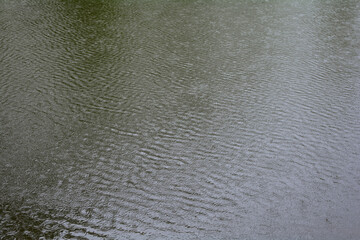 Water rings from the rain on a  gray lake