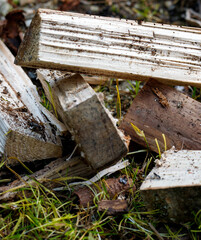 climped wood at summer ready to heat the alpine cabinet
