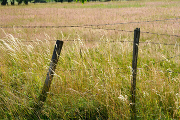 Several rusted barbed wires in all directions, with wooden posts in nature