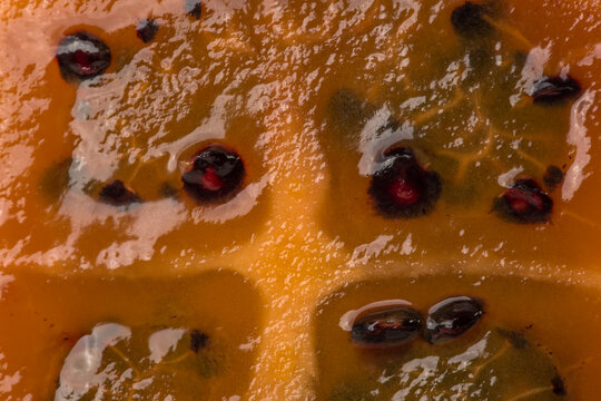 Tomarillo (Solanum betaceum) cutaway texture closeup. Macro