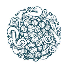 Grape and vine hand drawn vector illustration. Grapevine engraving style drawing. Part of set.