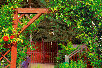 View of the garden landscape with red gates, wrapped in greenery and a hanging Chinese bell in the foreground. A red fence and a spruce forest in the background. Cottagecore aesthetics concept.
