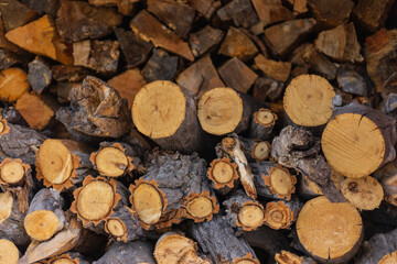 Firewood logs cut and ready for winter at a rural Colorado ranch home near Denver