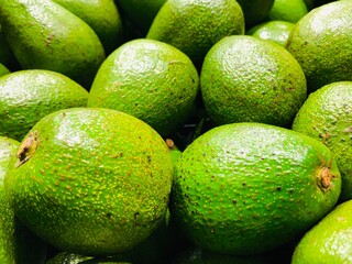 fresh green avocado