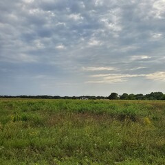 field and sky