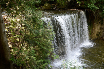 Hoggs Falls