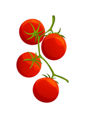 Chery tomato. Fresh healthy red tomato made in flat style. Vegetarian food. Vegetable from the farm. Organic food. Vector illustration of tomato