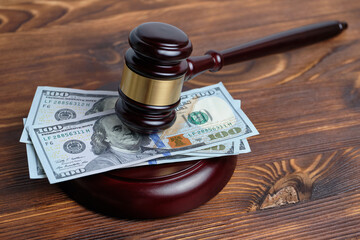 Money under the judge hammer as a concept of judicial costs